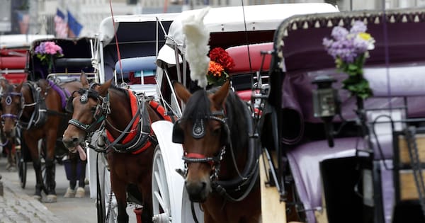 Teen dies after being thrown off horse-drawn carriage in NYC's Central Park