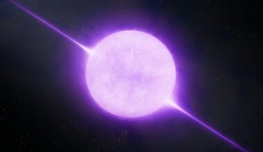 Gravastars: Not all dying stars end up as black holes