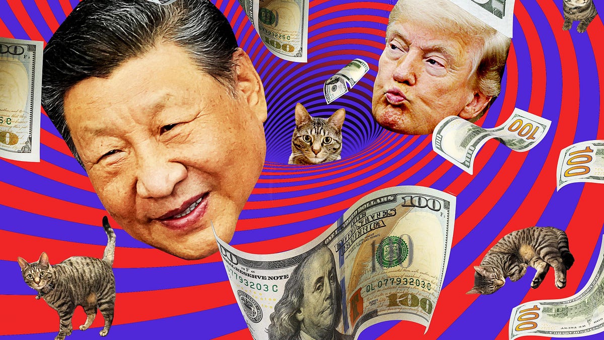 Banks, Trump, China, and Cats: The Most Boring Story Ever Told