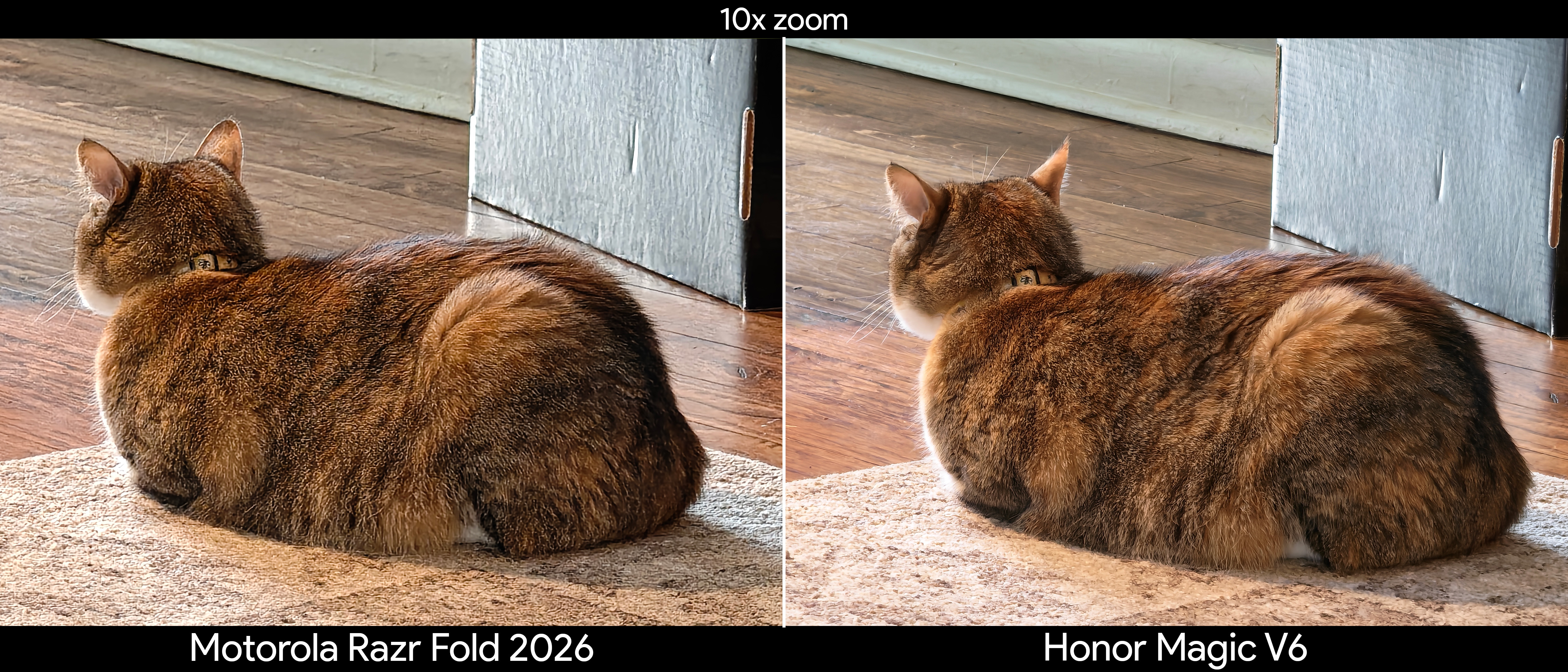 Comparing telephoto camera quality between the Motorola Razr Fold 2026 and Honor Magic V6