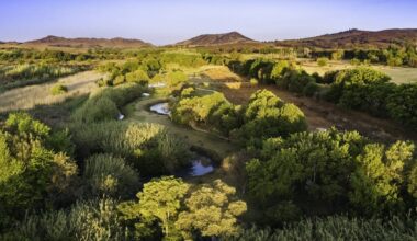 Mountains of the Cradle of Humankind