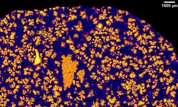 The X-ray image of NWA 12774. Image credit: Aaron Bell / CU Boulder.