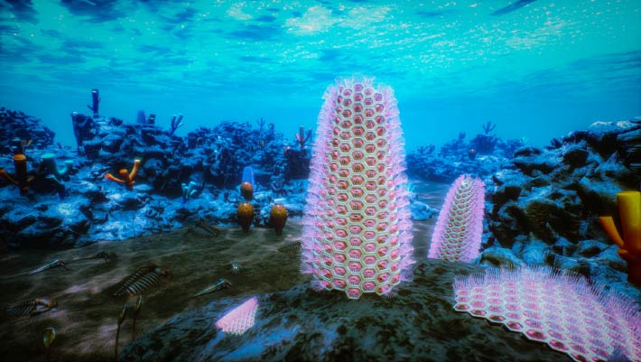 Complex Colonial Life Was Already Thriving during Cambrian Explosion