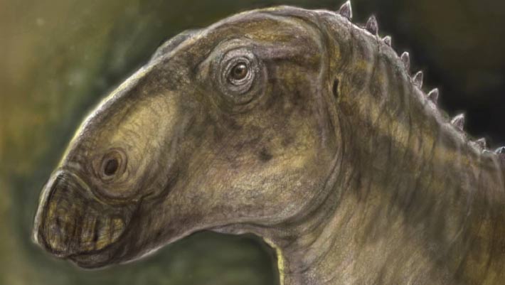 New Duck-Billed Dinosaur Unearthed in Romania