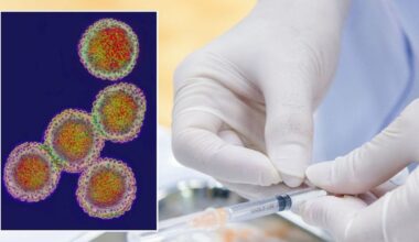 Pandemic odds top 25% as UKHSA flags respiratory infections as biggest threat