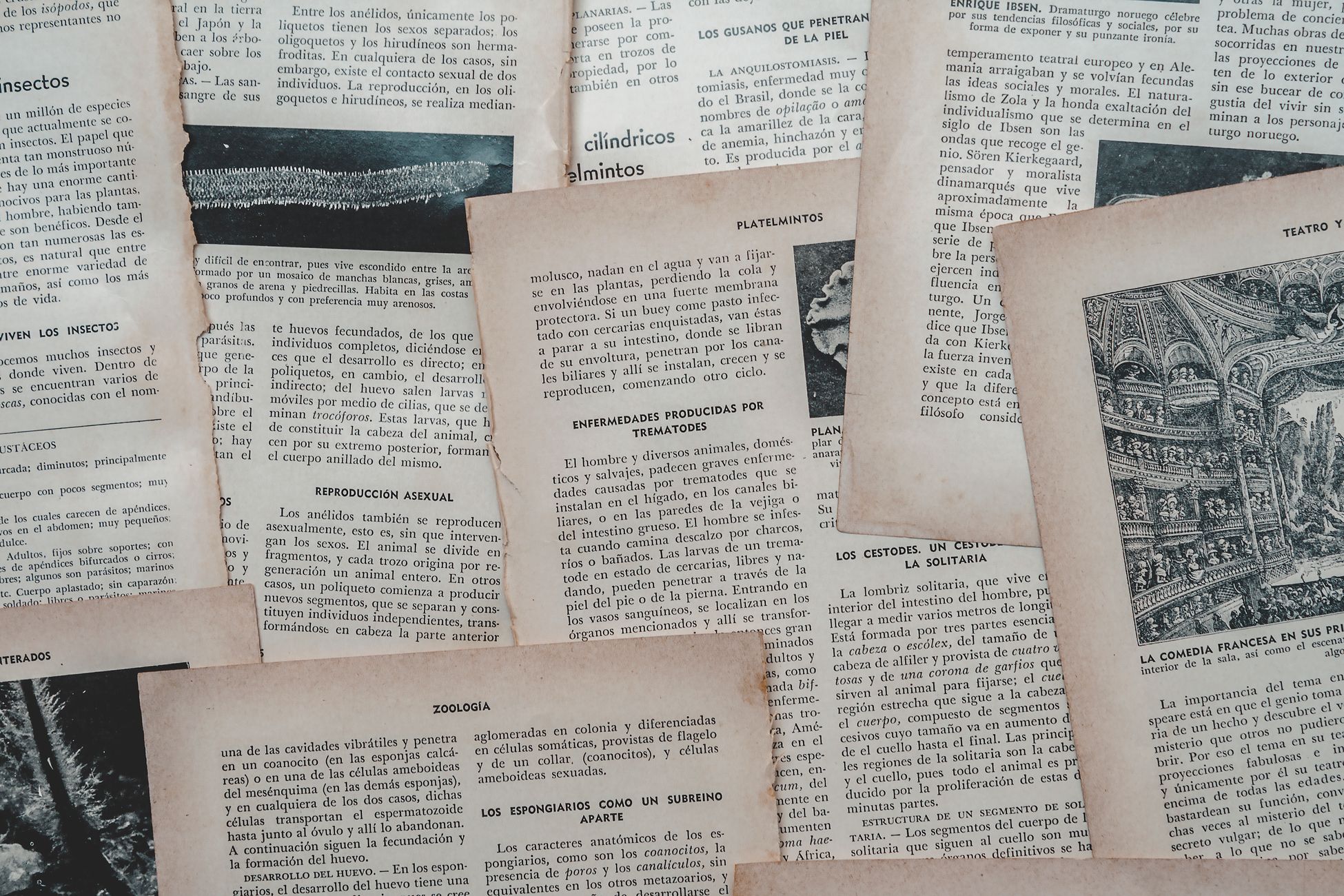 A collection of vintage Spanish book pages, showcasing classic literature and historical writings, Venezuela.