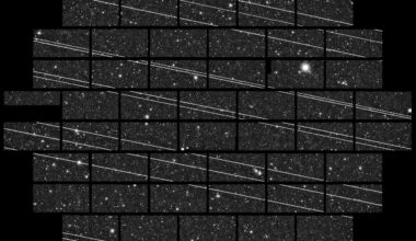 Images of Starlink satellite trails at the Cerro Tololo Inter-American Observatory. Credit - CTIO/NOIRLab/NSF/AURA/DECam DELVE Survey