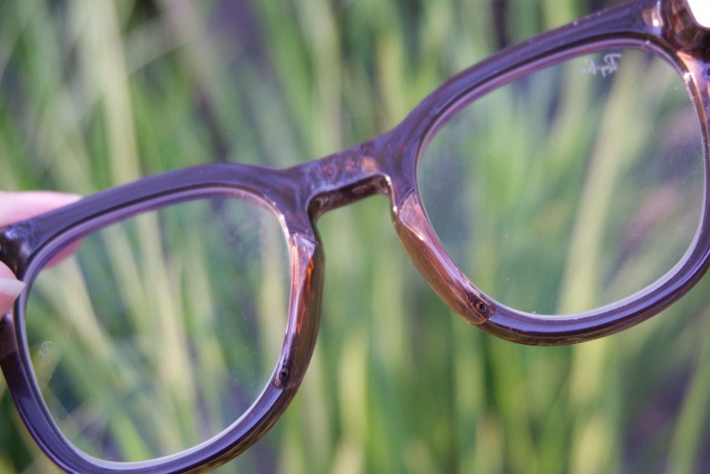 The back view of the glasses showing the inner nose pieces.