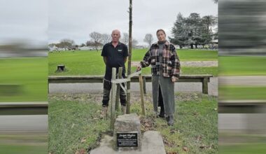 Second memorial tree dies: Are vandals or natural causes at fault?