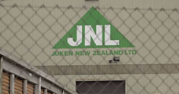 Kaitāia mill confirmed to close after no buyer found – union