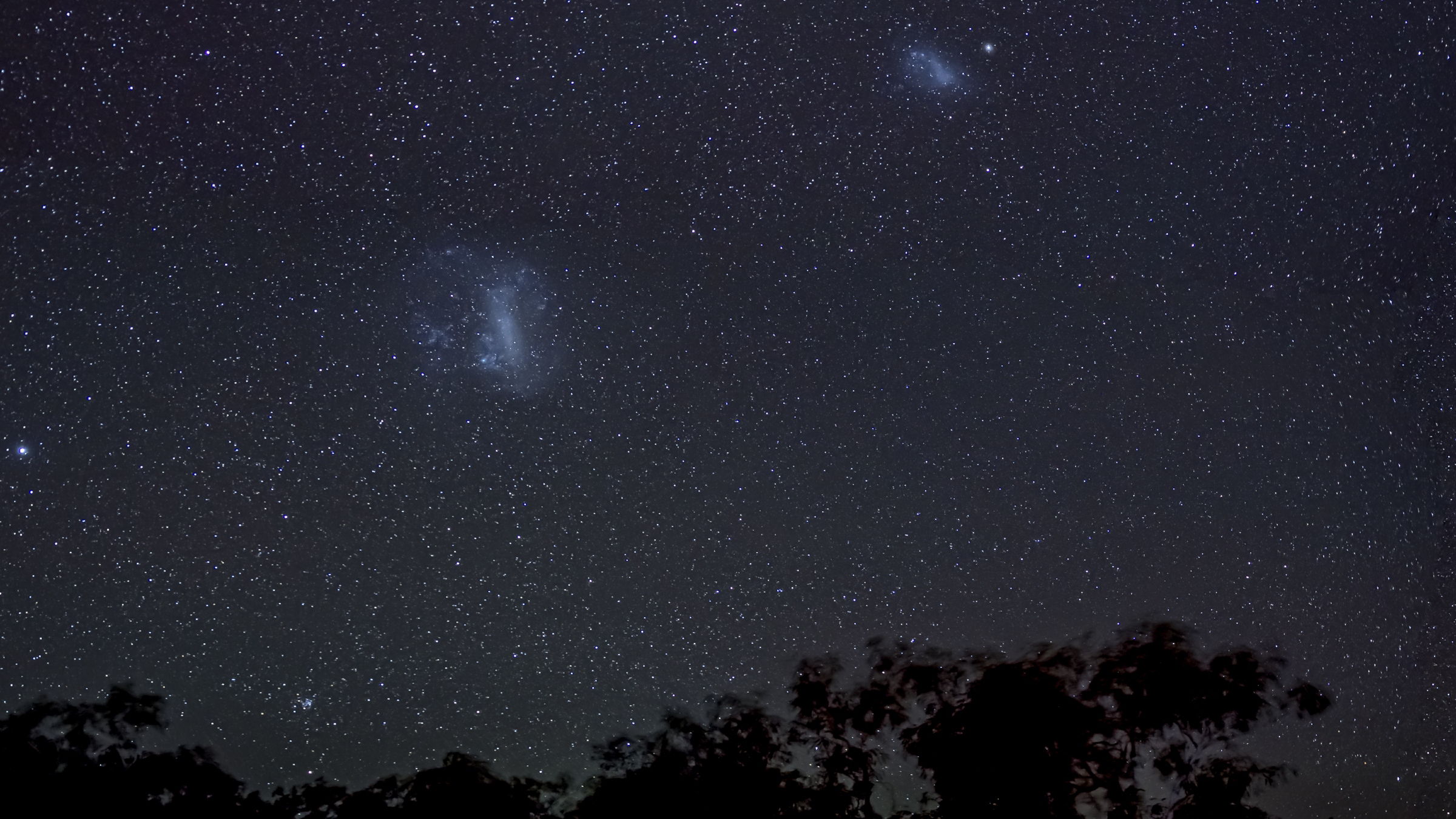 A photo of the night sky with the LMC and SMC visible above the trees