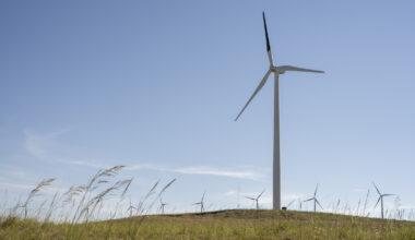 A Single Black Wind Turbine Blade Is Having A Breakthrough Effect On Bird Collisions