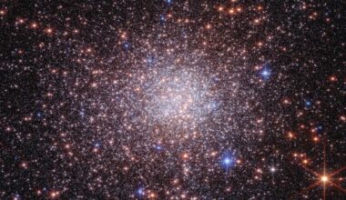 The Webb Telescope Has Captured Its First 'Bulge Fossil Fragment'