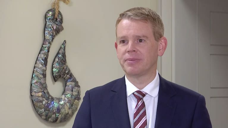 Labour leader Chris Hipkins (file image).