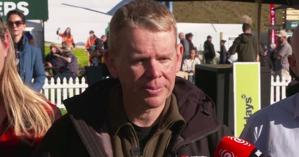 Labour cops flak over Fieldays stall: 'We're out and about'