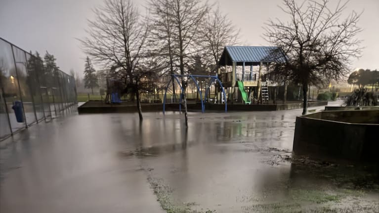 Lakeview School in Masterton was closed for precautionary health and safety measures after flooding.