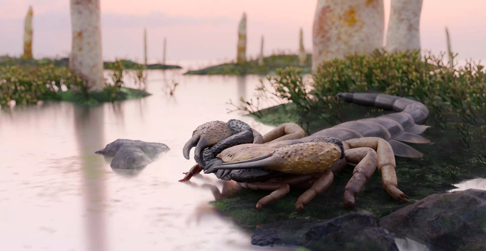 Scientists Confirm Giant Scorpion Over 1 Meter Long Lived 410 Million Years Ago