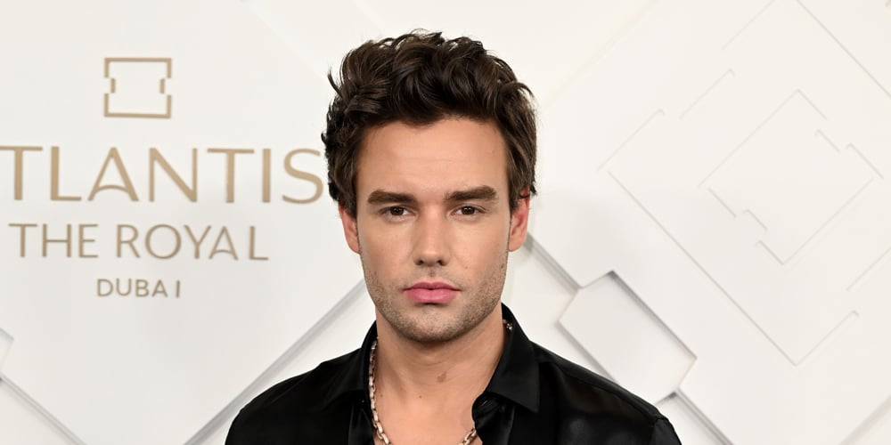 Liam Payne's Nearly $28 Million Estate Will Go to His Son Bear - Just Jared - Celebrity News and Gossip