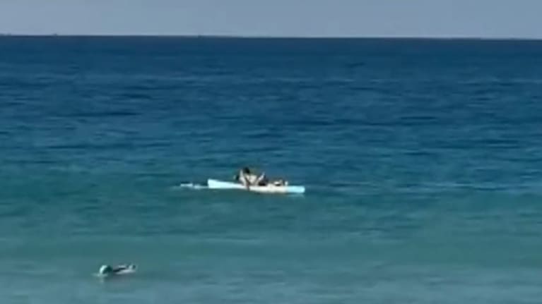 Lifeguard Charlie Verco told 9News the shark was the biggest he’d ever seen.