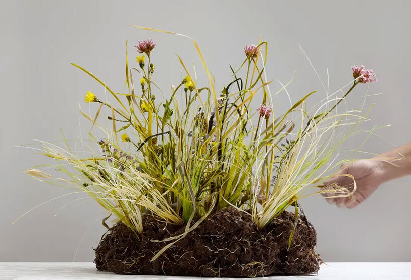 lilla tabasso sculpts the melancholy of botanical decay in hyperrealistic murano glass - 1