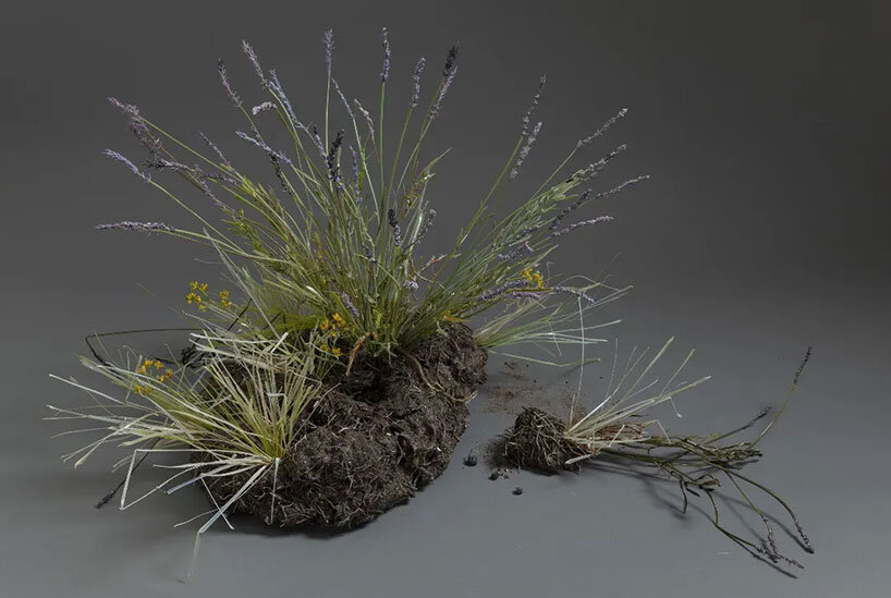 lilla tabasso sculpts the melancholy of botanical decay in hyperrealistic murano glass - 9