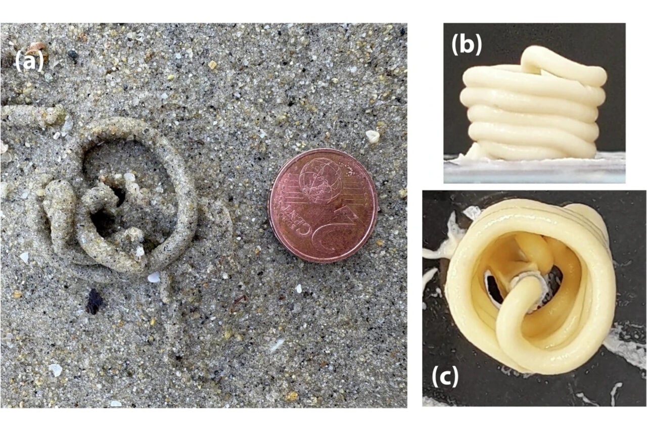 Lugworm Poop