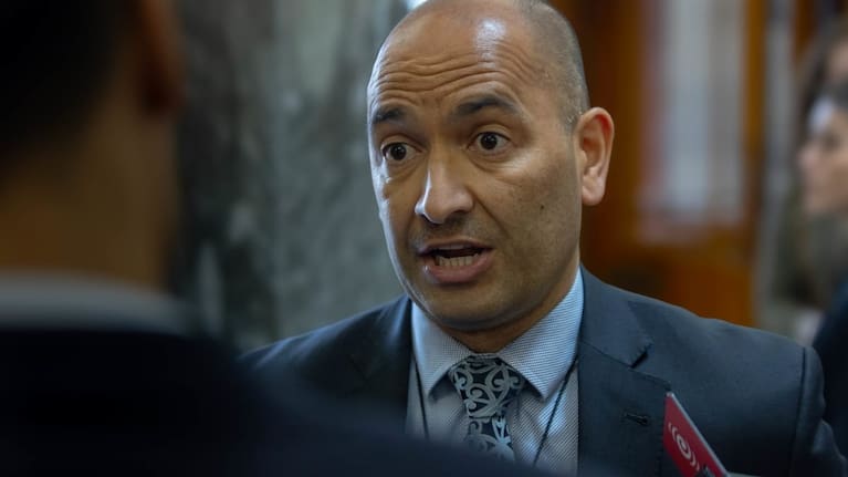 Māori Development Minister Tama Potaka.