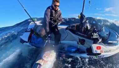 Jet ski fisherman lands 95.6kg tuna after shark bites off its tail