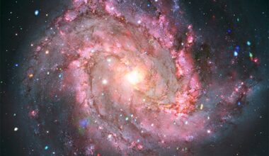 Strange signals are flickering in brightness in a nearby galaxy. The answer is cosmically explosive