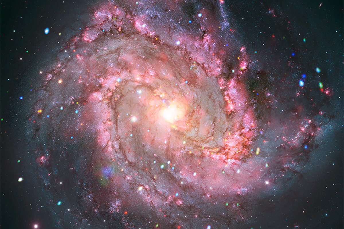 Strange signals are flickering in brightness in a nearby galaxy. The answer is cosmically explosive