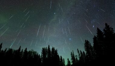 Radioactive Stardust From an Ancient Cosmic Blast Is Still Raining on Earth : ScienceAlert