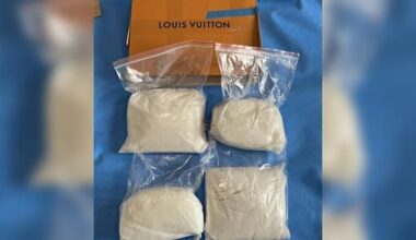 Offshore meth cell shut down after Auckland raids, 11 arrests