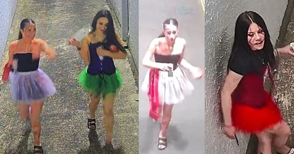 Halloween train assault: Police receive new leads after public appeal