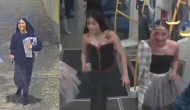 Police seek young women in relation to 'serious' Halloween assault