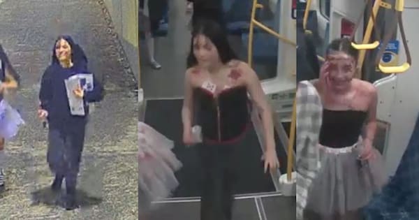 Police seek young women in relation to 'serious' Halloween assault