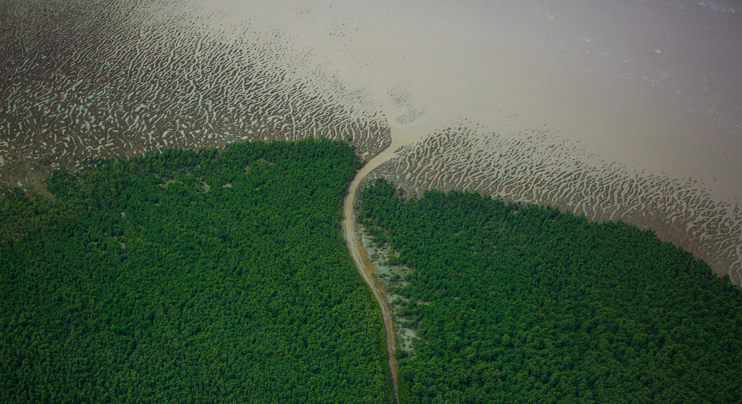 The Amazon River flows into the Atlantic Ocean.