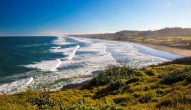 Person found dead after falling from rocks at Muriwai Beach