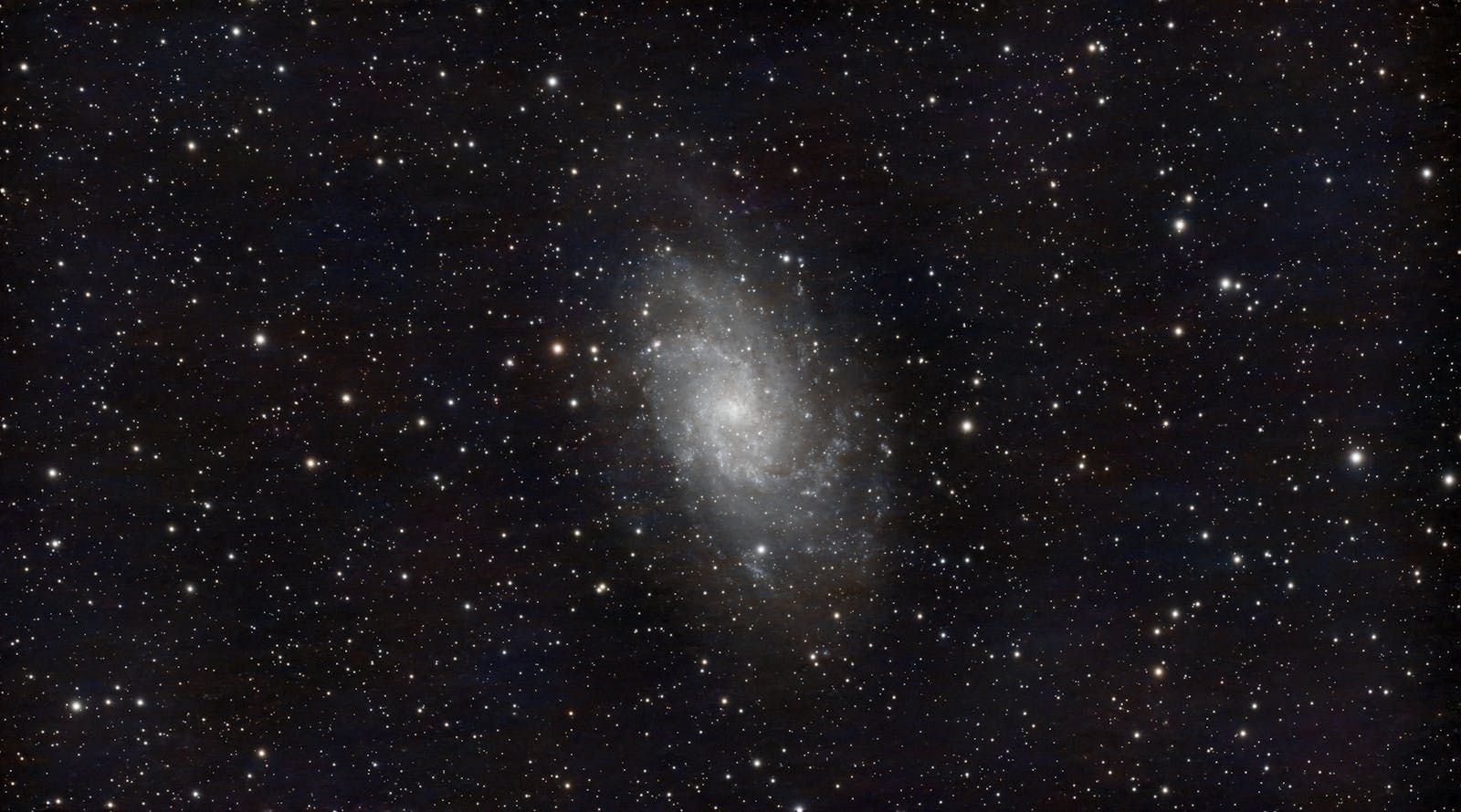 MUSE maps of the spiral galaxy W2246f showing stellar and gas kinematics