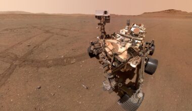 NASA Rover Finds "Complex Organic Matter" on Mars