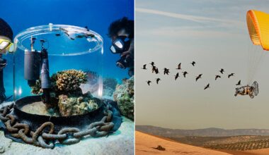 Split image: On the left, scuba divers observe equipment in a clear cylinder on the ocean floor. On the right, a person in a powered paraglider flies beside a flock of birds over a sandy landscape.