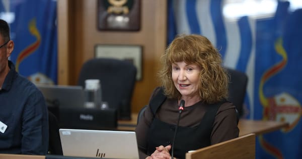 'Hunger Games': Why a councillor fears she'll lose her seat