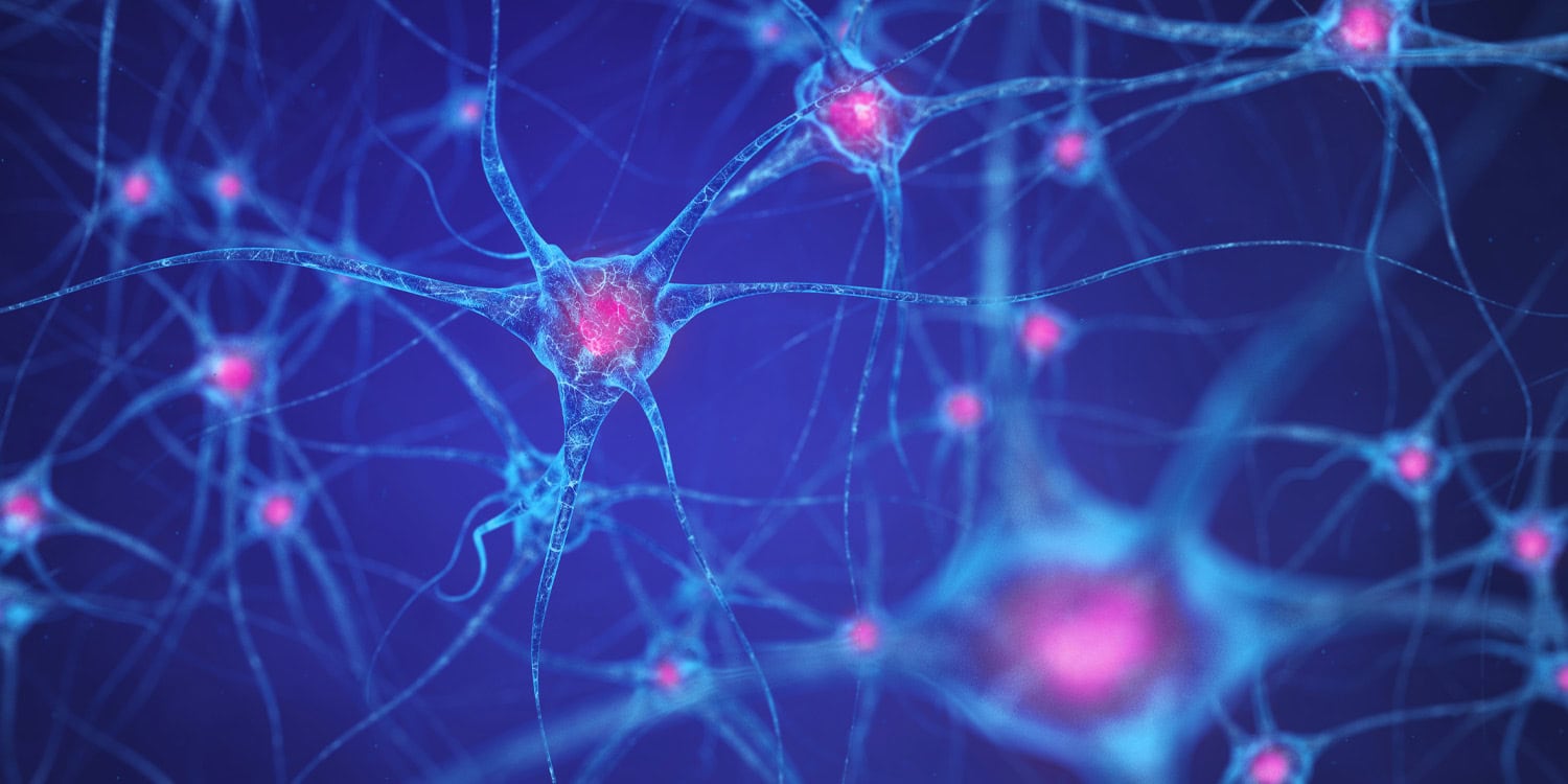 Scientists discover how exercising muscles communicate with the brain to fight depression