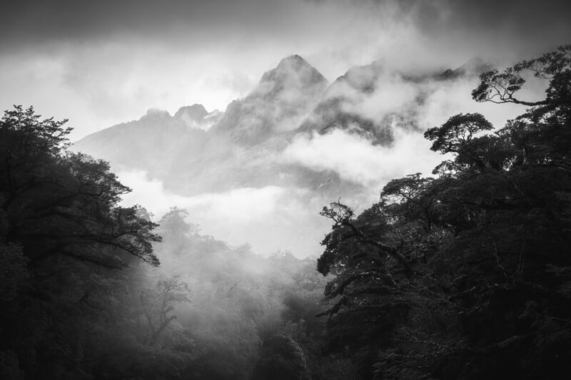 Black and white photo of misty mountains partially obscured by clouds, with dark, dense trees framing the foreground and dramatic peaks rising in the background.