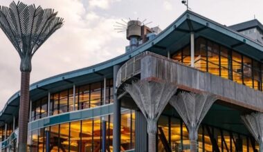 Critic calls $600k Wellington library website 'insulting, stupid'