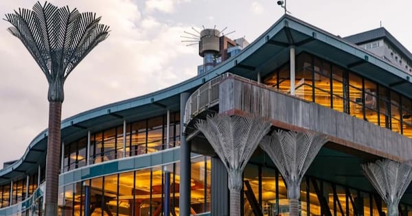 Critic calls $600k Wellington library website 'insulting, stupid'