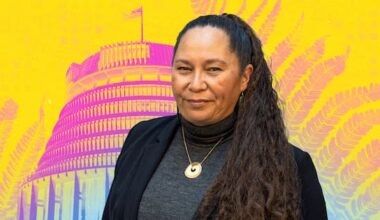 ACT reveals its new deputy leader: 'My whakapapa is mine'