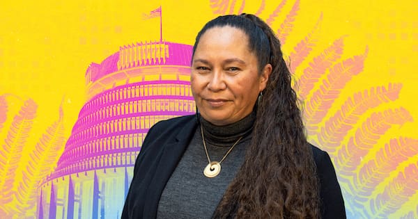 ACT reveals its new deputy leader: 'My whakapapa is mine'