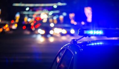Twelve dead, more injured in mass shooting in Johannesburg