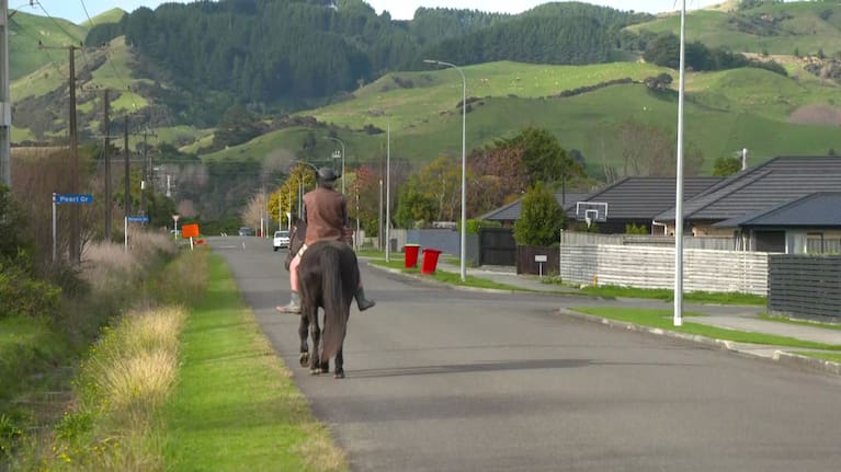 NZ Equestrian Advocacy Network spokesperson Arthur Yeo says equestrians can "coexist quite easily" with others using the shared path.