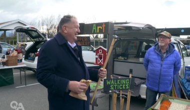 'Temu Napoleon' and 'kleptomaniacs': Shane Jones punches left and right